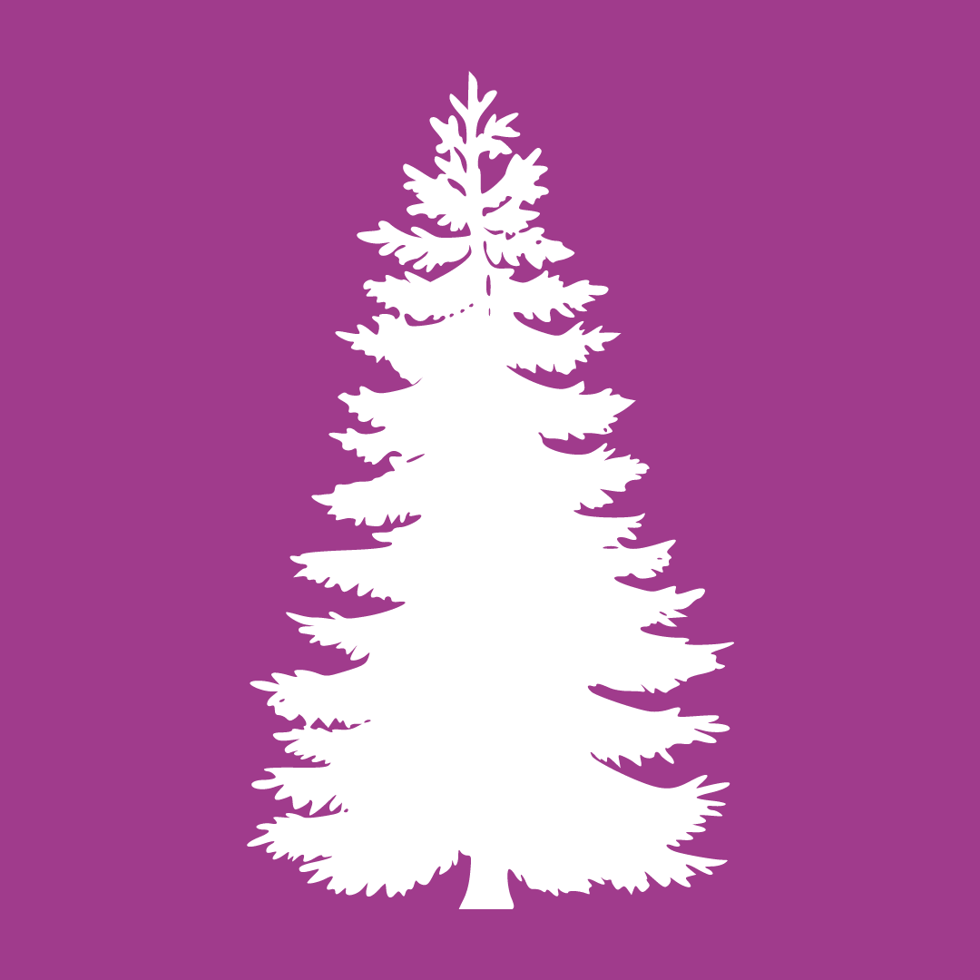 Reprise sapins violet